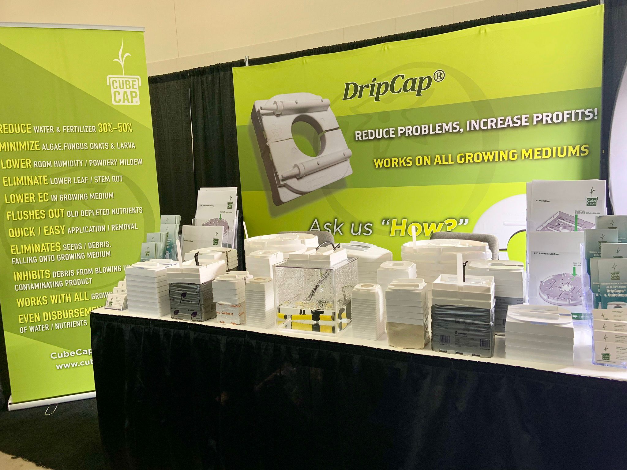 CubeCap interview showcasing irrigation cap, flood cap, drip cap and Lion’s Mane mushroom cultivation in hydroponics