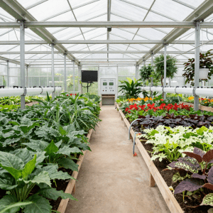 Greenhouse irrigation system using CubeCap Canada caps for water conservation
